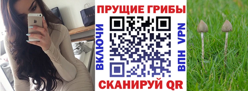Галлюциногенные грибы мицелий  Арск 
